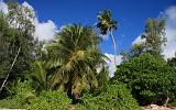 SEYCHELLES - 799 - Mahe, Anse Soleil